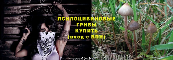 ALPHA PVP Медвежьегорск