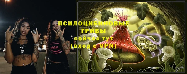 ALPHA PVP Медвежьегорск