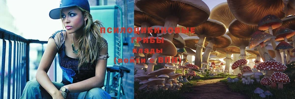 jwh Медногорск