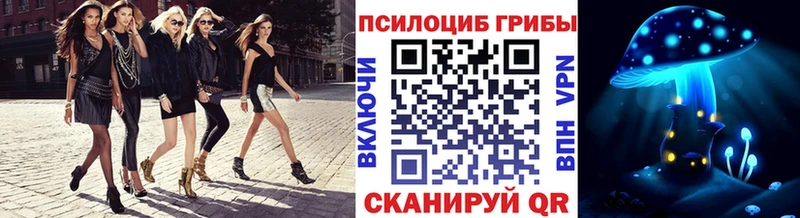 Купить  Меленки  Псилоцибиновые грибы мицелий 
